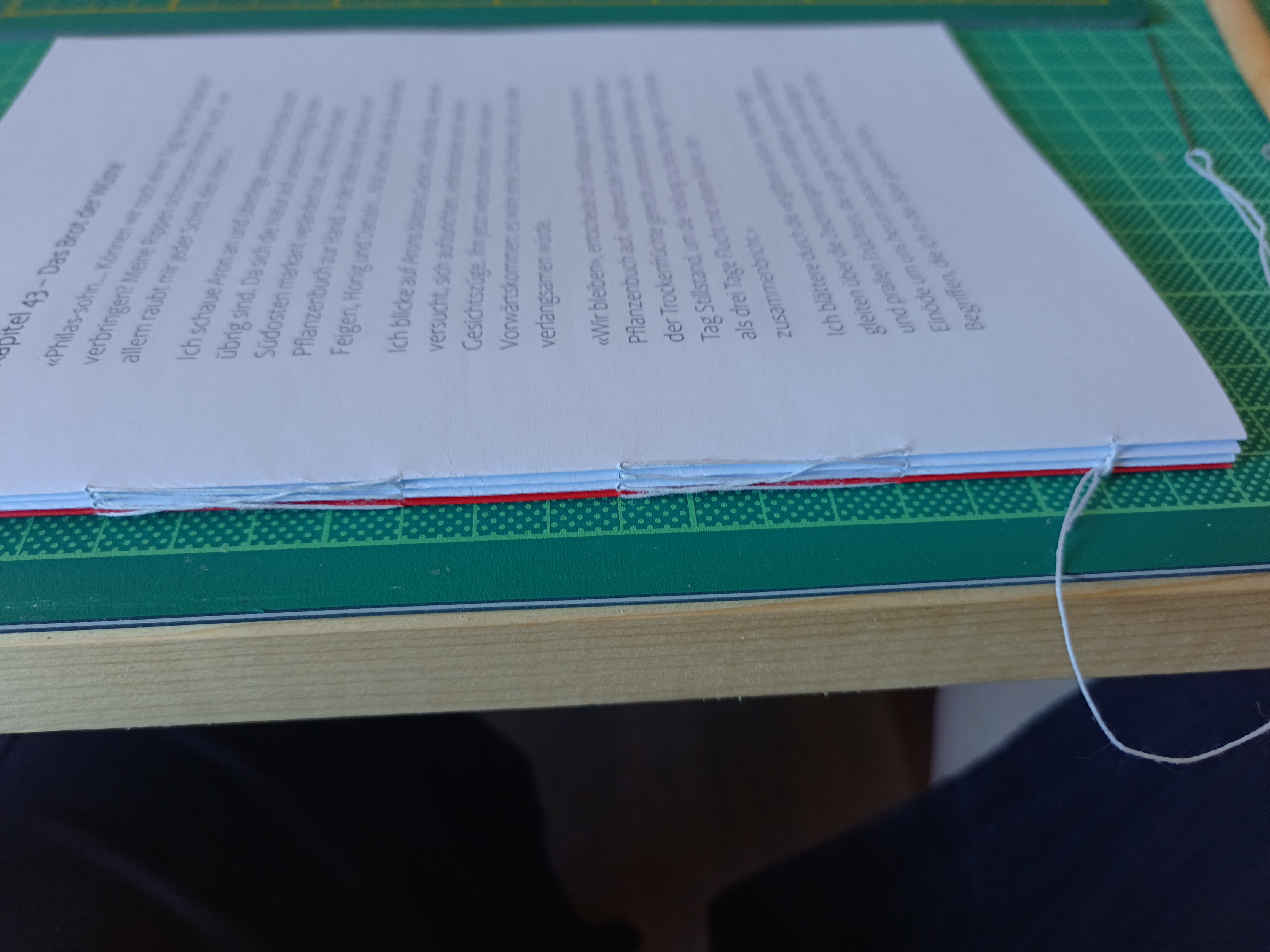 Anschauliche Technik: Deckblatt und Lagen in leicht gelockerter Französischer Heftung, um den genauen Fadenverlauf sichtbar zu machen.